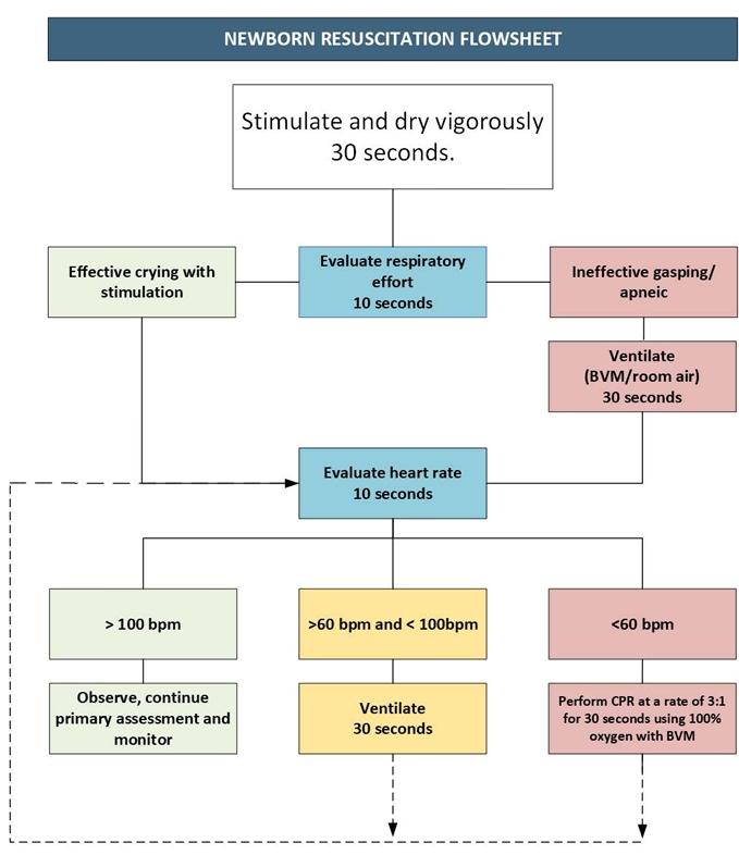 Newborn Resuscitation Flowchart